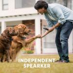 Rechargeable Dog Training Collar with Remote Control