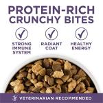 Purina ONE High Protein Senior Dog Food 16.5 lbs