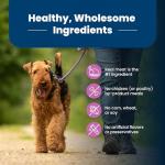 Blue Buffalo Large Breed Adult Dry Dog Food