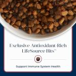 Blue Buffalo Basics Salmon & Potato Dog Food