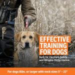 SportDOG WetlandHunter 425X Remote Training Collar