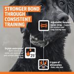 SportDOG WetlandHunter 425X Remote Training Collar