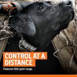 SportDOG WetlandHunter 425X Remote Training Collar