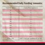 Merrick Backcountry Grain-Free Kibble, Great Plains Red