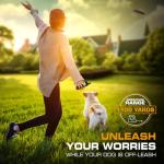 Invirox Rechargeable Dog Training Collar for Large Dogs