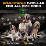 Invirox Rechargeable Dog Training Collar for Large Dogs