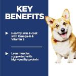 Hill's Science Diet Chicken & Barley Dry Dog Food