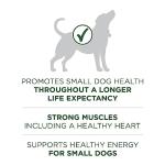 Purina One Small Breed High-Protein Dog Food