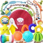 25-Pack Assorted Puppy Chew and Rope Toys