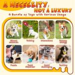 25-Pack Assorted Puppy Chew and Rope Toys