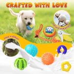 25-Pack Assorted Puppy Chew and Rope Toys