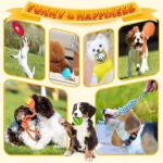 25-Pack Assorted Puppy Chew and Rope Toys