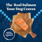 Blue Buffalo Wilderness High-Protein Salmon Dog Food