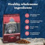 Blue Buffalo Wilderness High-Protein Salmon Dog Food