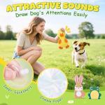 Interactive Squeaky Dog Toys - 3 Pack Set
