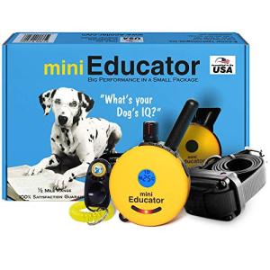 Educator ET-300 Mini Dog Training E Collar