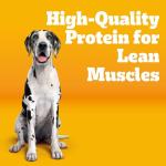 Pedigree Large Breed Dry Dog Food, Chicken Flavor