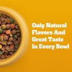 Pedigree Large Breed Dry Dog Food, Chicken Flavor