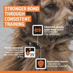 SportDOG YardTrainer 100 Remote Dog Training Collar