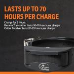 SportDOG YardTrainer 100 Remote Dog Training Collar