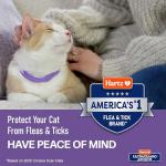 Hartz UltraGuard Flea & Tick Collar for Cats