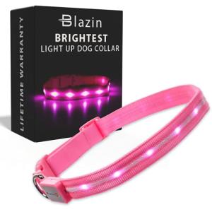 LED Light Up Dog Collar - Rechargeable & Waterproof