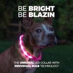 LED Light Up Dog Collar - Rechargeable & Waterproof