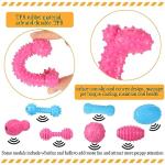 50 Pack Soft Puppy Chew Toys for Teething