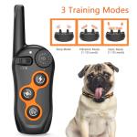 Rechargeable Waterproof Dog Training Collar with Remote