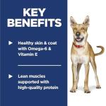 Hill's Science Diet Lamb & Brown Rice Dog Food