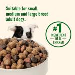 Rachael Ray Nutrish Chicken & Veggies Dry Dog Food