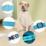30-Pack Adjustable Reflective Dog Collars in 10 Colors