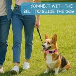 30-Pack Adjustable Reflective Dog Collars in 10 Colors