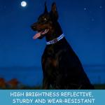 30-Pack Adjustable Reflective Dog Collars in 10 Colors