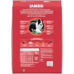 IAMS Proactive Health Minichunks Lamb & Rice Dog Food