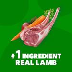 IAMS Proactive Health Minichunks Lamb & Rice Dog Food