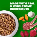 IAMS Proactive Health Minichunks Lamb & Rice Dog Food