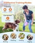 Dual Dog Shock Collar System with Remote Control