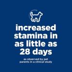 Hill's Science Diet Senior 7+ Chicken & Rice Dog Food