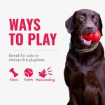 KONG Wubba Dog Toy for Tug and Fetch