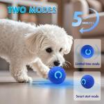Interactive Smart Dog Ball Toys for Active Pets