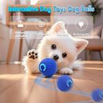 Interactive Smart Dog Ball Toys for Active Pets