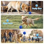 Interactive Smart Dog Ball Toys for Active Pets