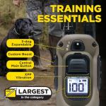 Dogtra 1900X E-Collar with Remote for Stubborn Dogs