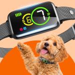 Humane Smart Dog Bark Collar with Vibration