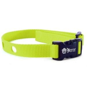 Lime Replacement Collar Strap for Dog Fences
