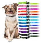 Lime Replacement Collar Strap for Dog Fences