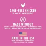 Instinct Raw Boost Small Breed Dog Food 10 lb