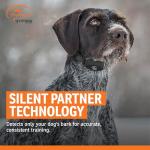 SportDOG NoBark 10 Rechargeable Bark Collar