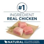 Purina ONE Large Breed Dry Dog Food, Chicken